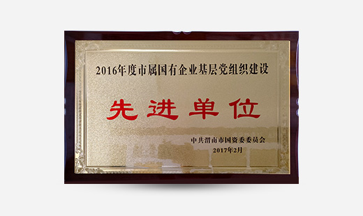 2016年度市屬國(guó)有企業(yè)基層黨組織建設(shè)先進(jìn)單位