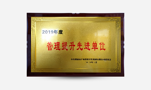 2019年度管理提升先進(jìn)單位