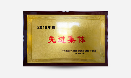 授予：2019年度先進(jìn)集體