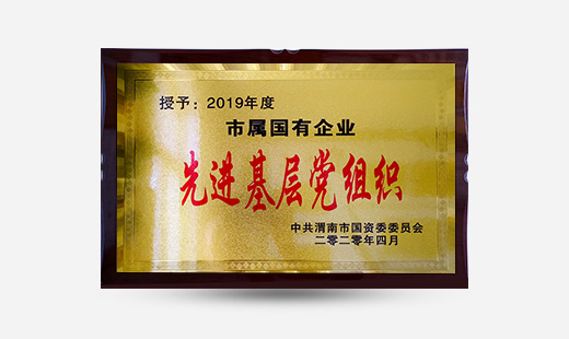 授予：2019年度市屬國(guó)有企業(yè)先進(jìn)基層黨組織